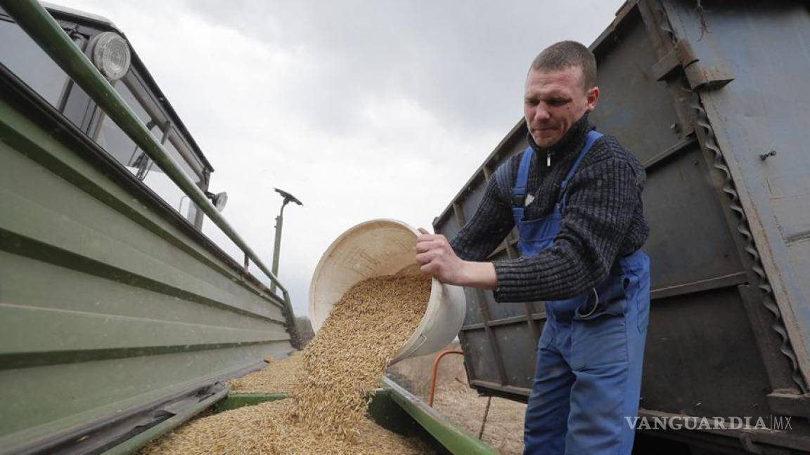Rusia vuelve a permitir exportaciones de cereales desde Ucrania