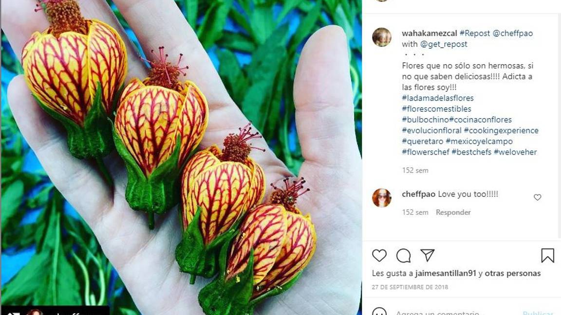 $!La chef Tania Orozco, al frente del proyecto ‘Evolución Floral’, cuenta con referencias de 186 flores comestibles.
