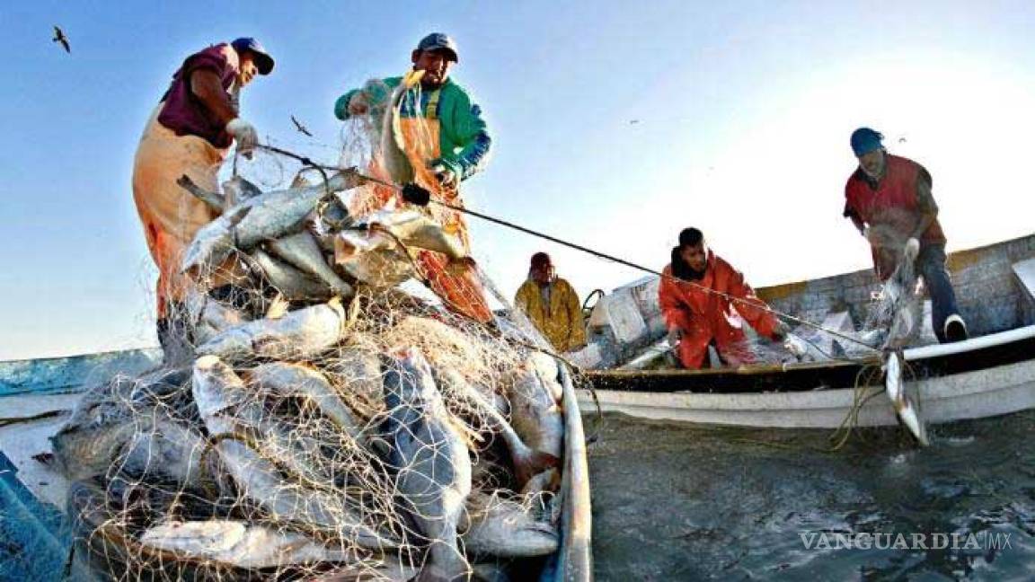Se va a refundar la pesca en el país con AMLO, asegura Raúl Elenes Angulo, próximo Comisionado Nacional de Pesca