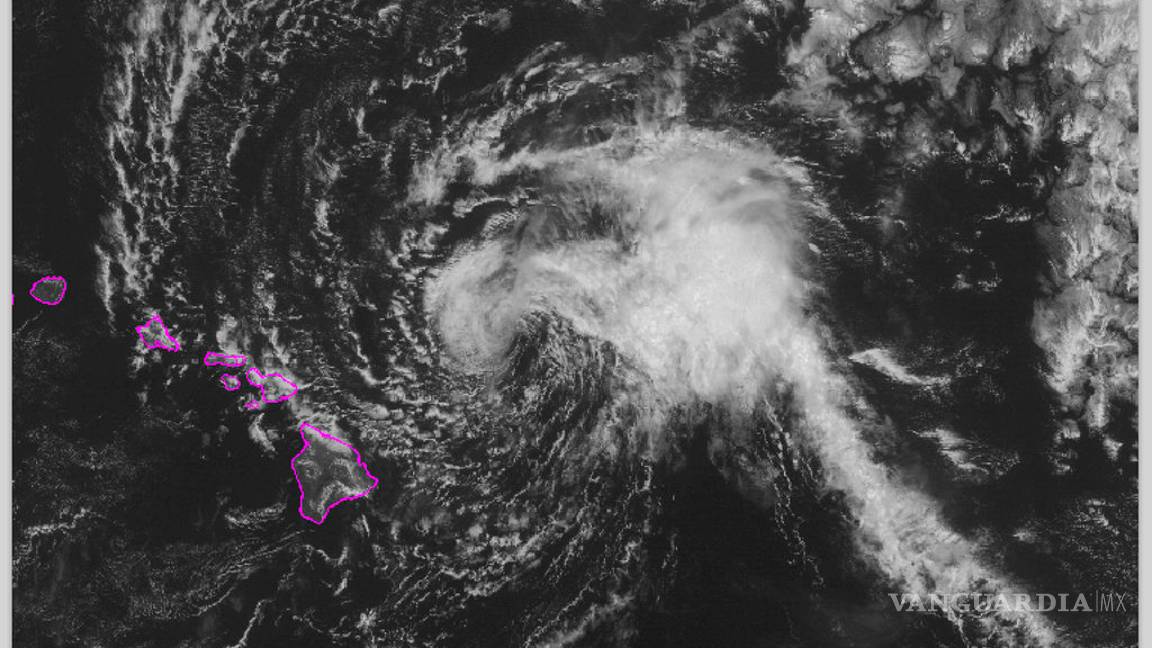 $!Florence cuenta con ingredientes de tormenta catastrófica