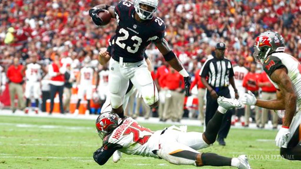$!Adrian Peterson brilló con Arizona y derrotan a Tampa Bay