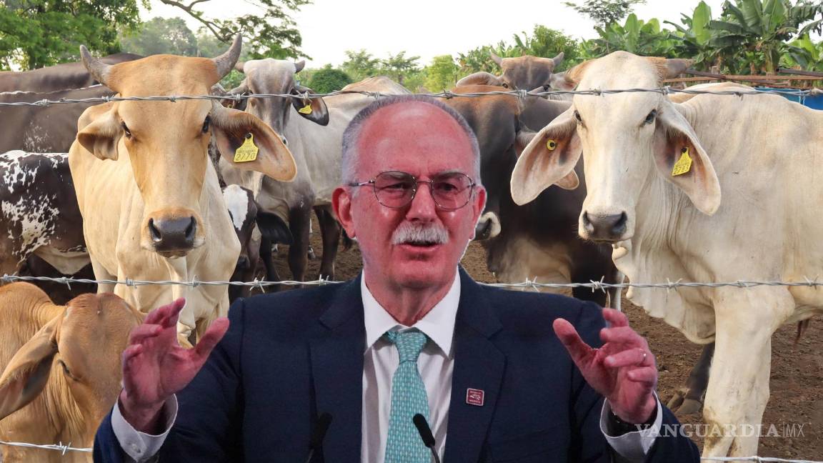 POLITICÓN: Desmiente EU a Berdegué: restricciones al ganado mexicano siguen vigentes hasta nuevos aviso