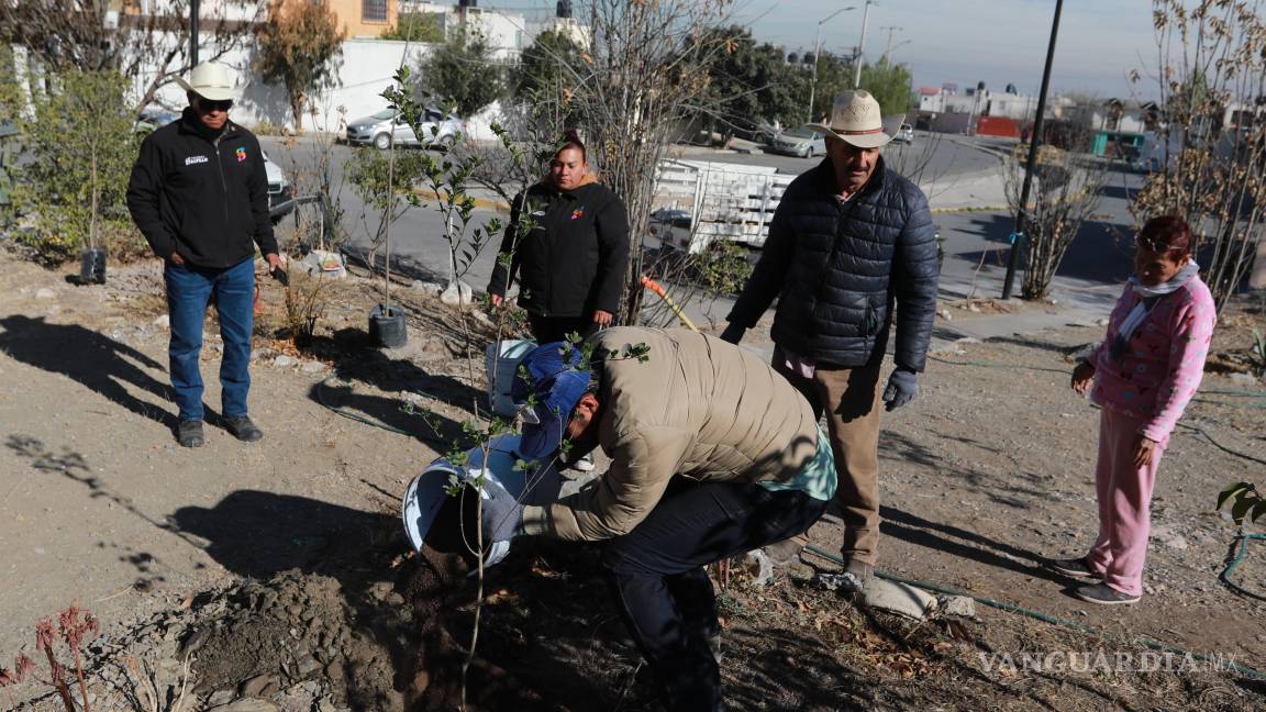 Saltillo refuerza acciones de limpieza y reforestación