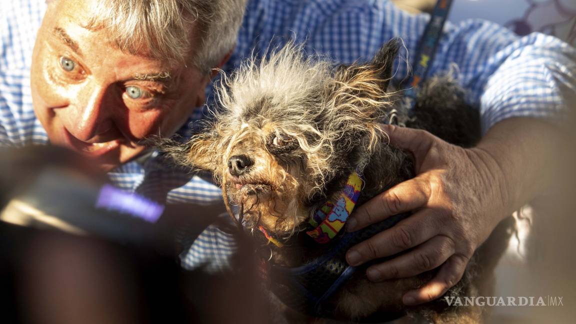 Scamp es ganador del concurso 'El perro más feo del mundo'