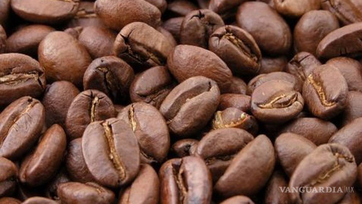 ¿Qué riesgo hay de tomar café y contraer cáncer?