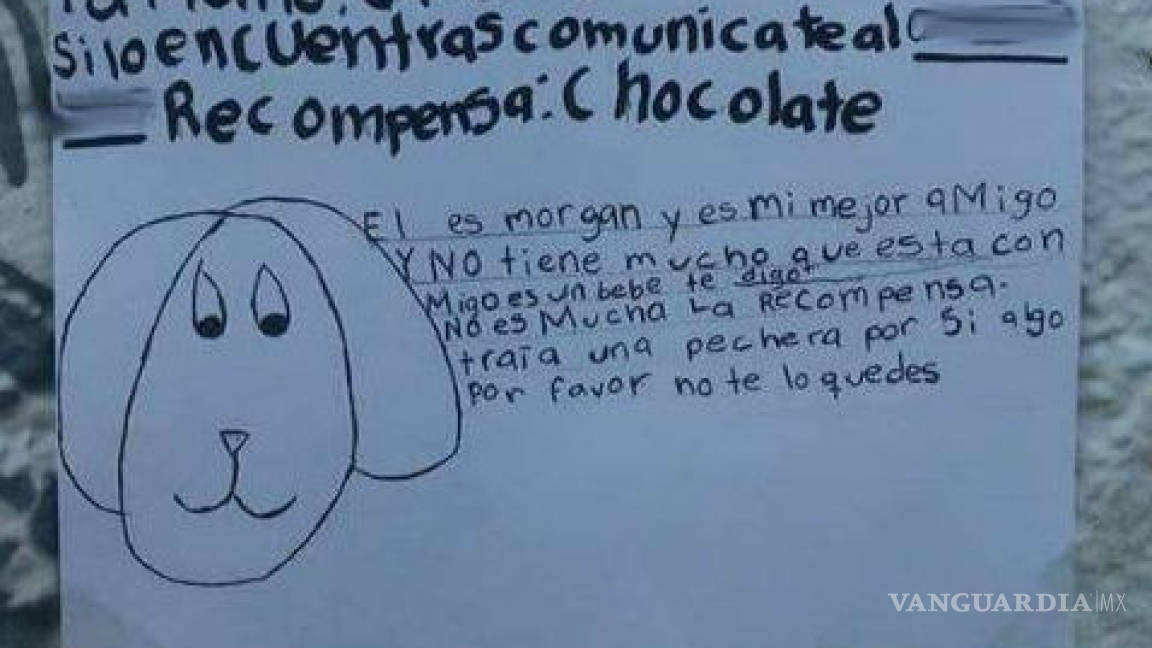 Halla niña a su perrito gracias a buscarlo con dibujos