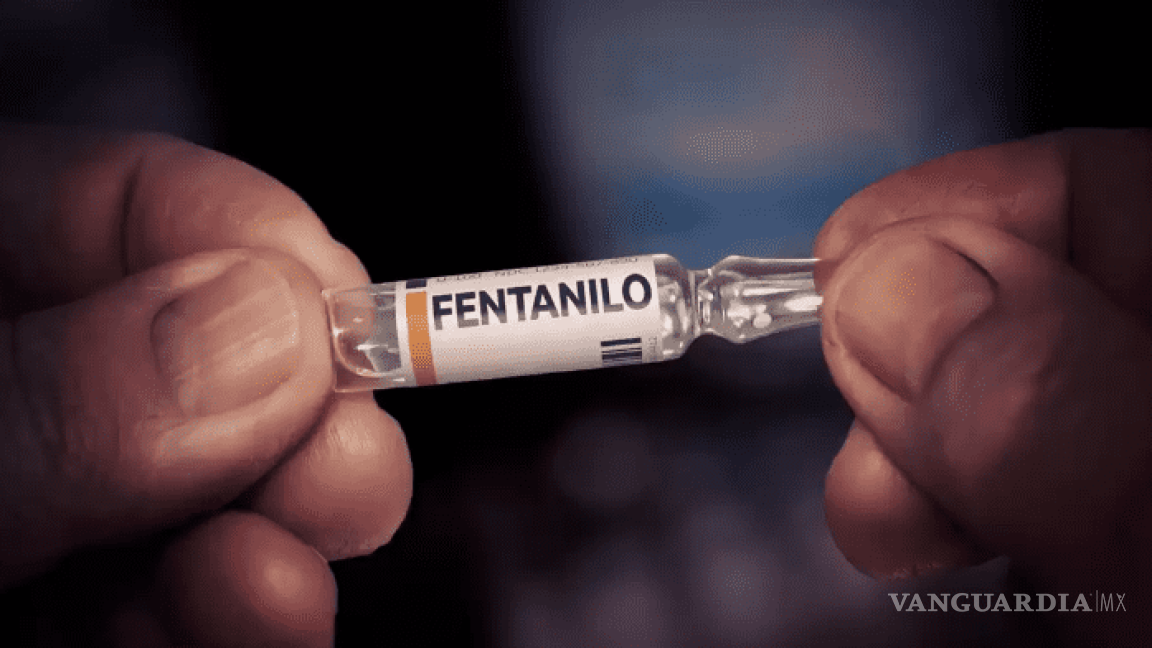 Reforma de AMLO contra fentanilo aumentará la violencia, señala organización