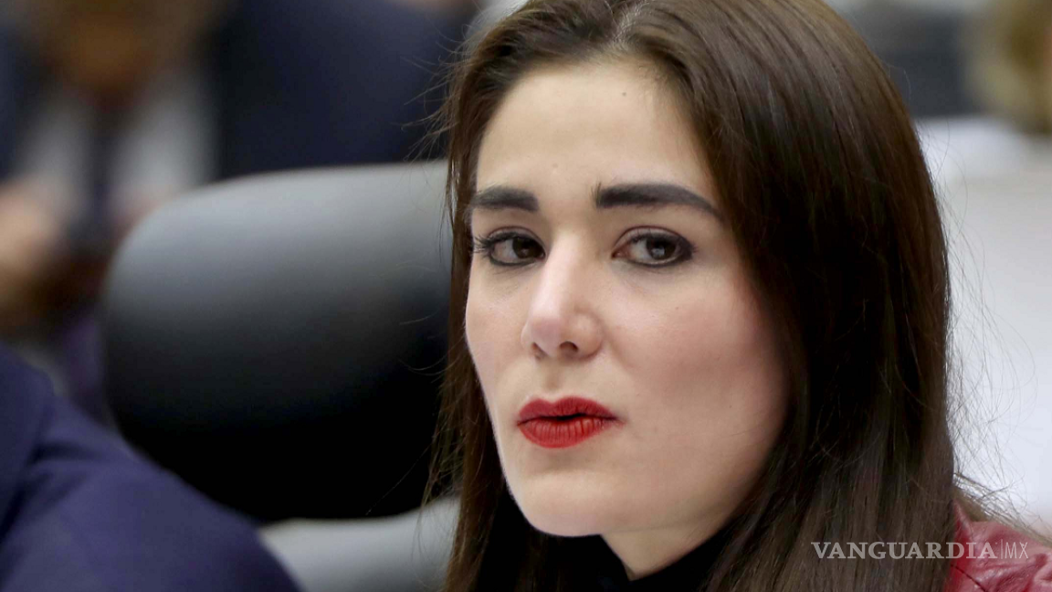 Molestia en el INE, Dania Ravel se deslinda de comunicado sobre elección judicial