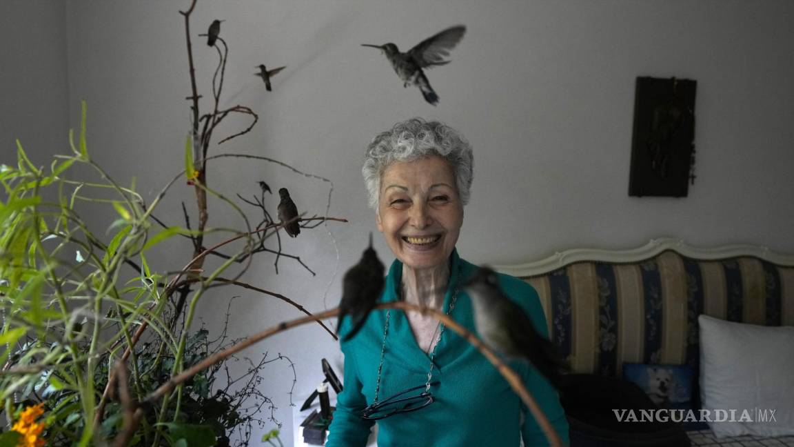 Mexicana salva a cientos de colibríes al convertir su casa en un hospital para estas aves