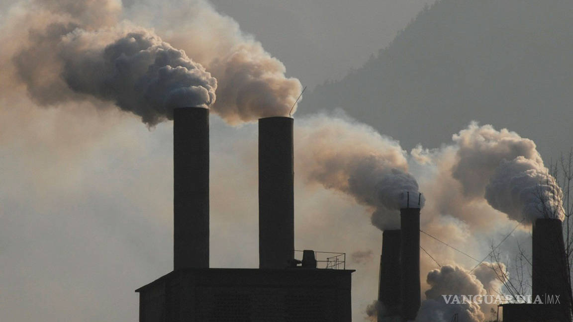 Dirección de Medio Ambiente de Saltillo toma con reservas reporte de muertes por contaminación