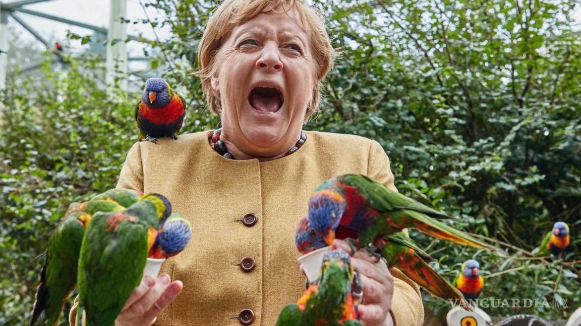 Angela Merkel grita al ser atacada por un loro