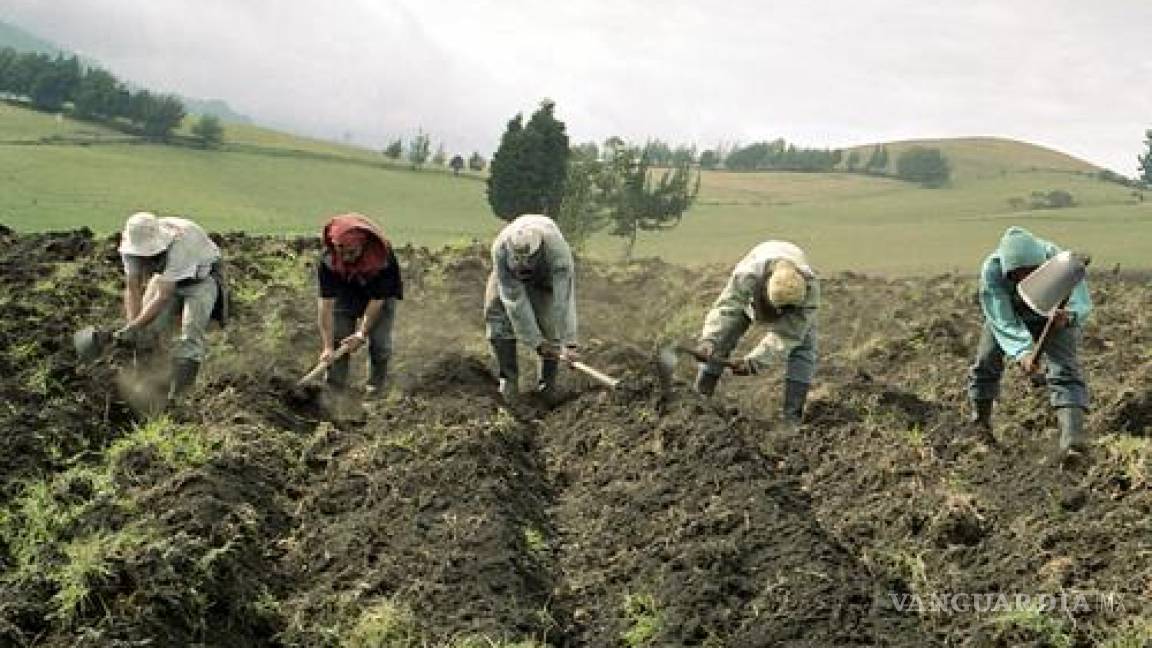 Se compromete PRI a impulsar el desarrollo rural