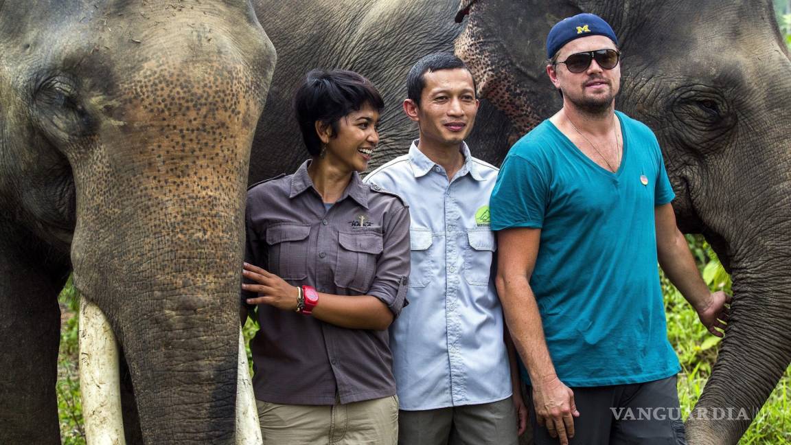 Leonardo DiCaprio visita el ecosistema de Leuser en Indonesia