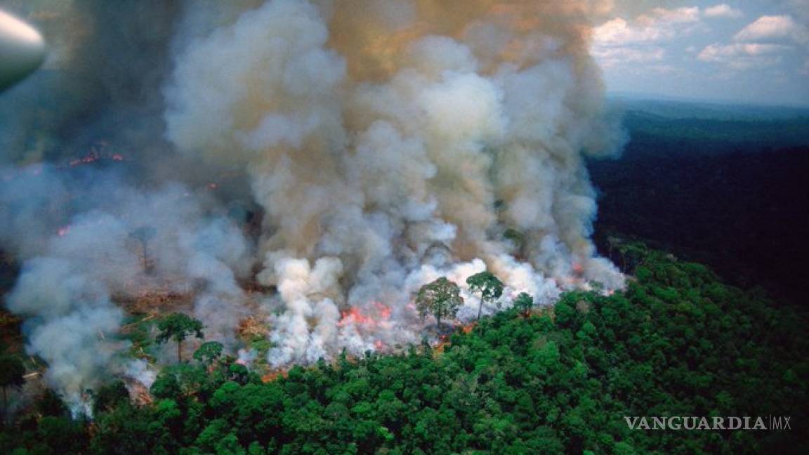 #PrayforAmazonia, llamado de auxilio en redes por masivo incendio en el Amazonas desde hace 16 días