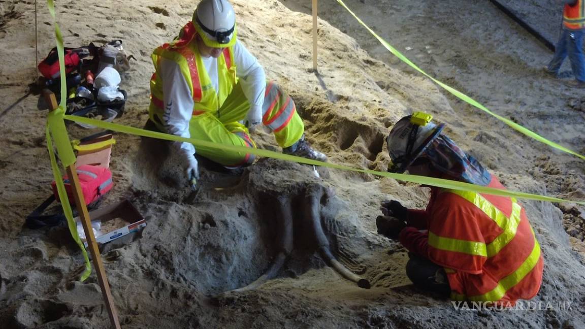 Fósiles de mamut fueron encontrados en el metro de Los Ángeles