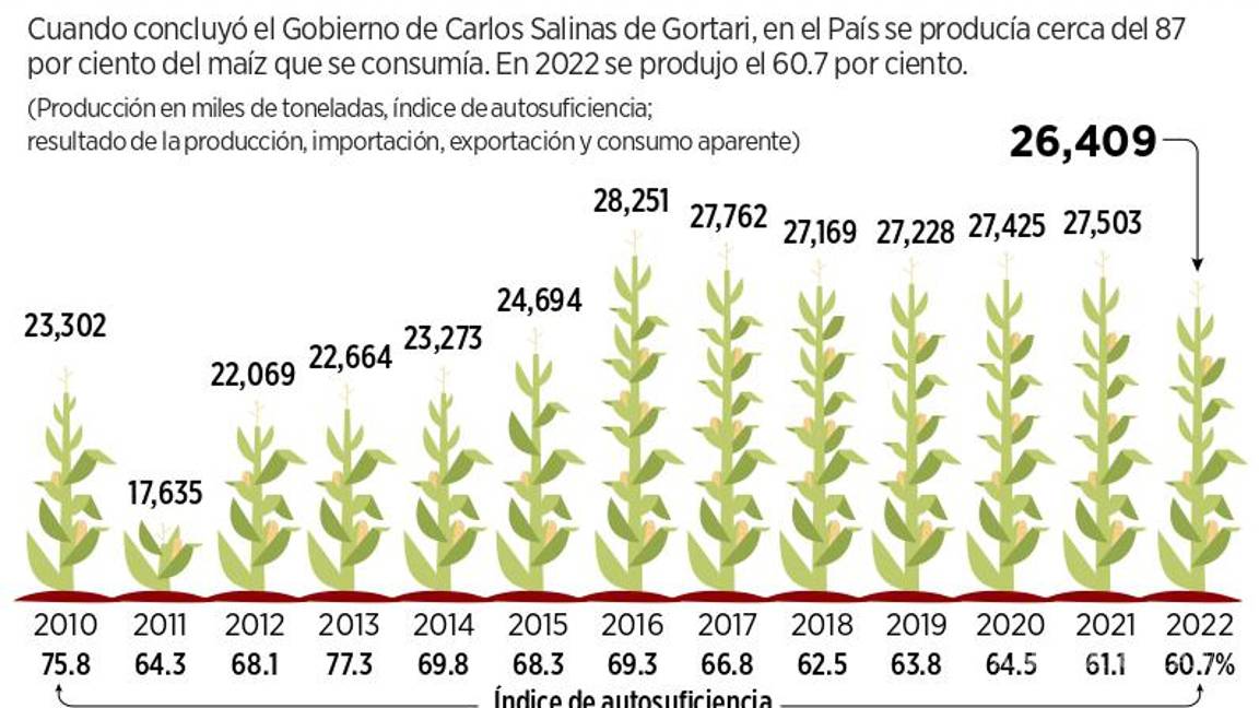 $!Se estanca con López Obrador la producción de maíz en México