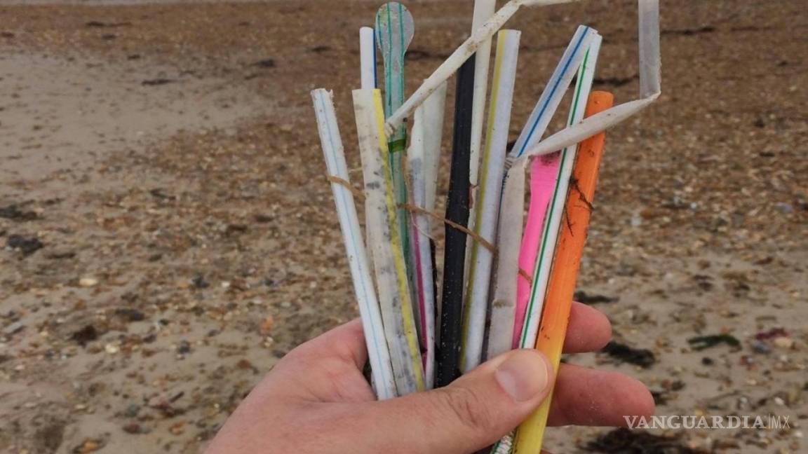 $!Usar bolsas de plástico y popotes está prohibido en estos estados de México