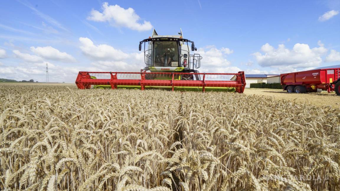 Pactan Ucrania y Rusia desbloqueo a cereales