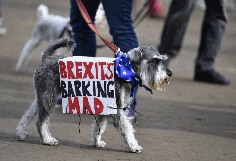 $!Cientos de perros ladran contra el "Brexit" en Londres