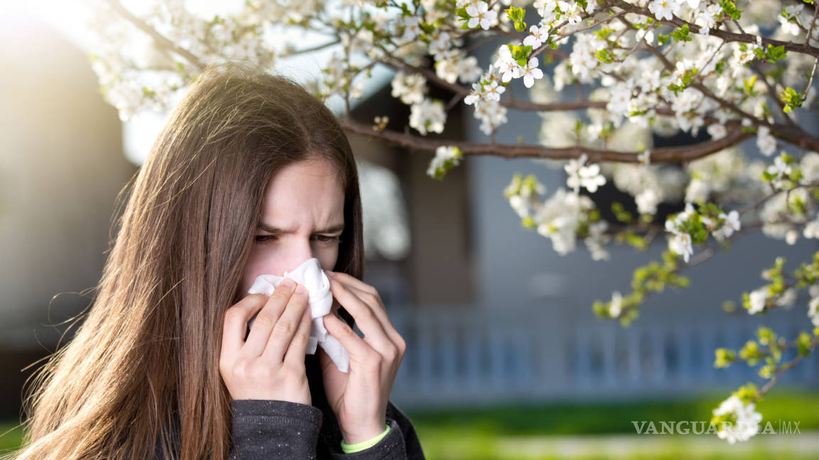 Lanza especialista saltillense recomendaciones para disminuir efectos de las alergias