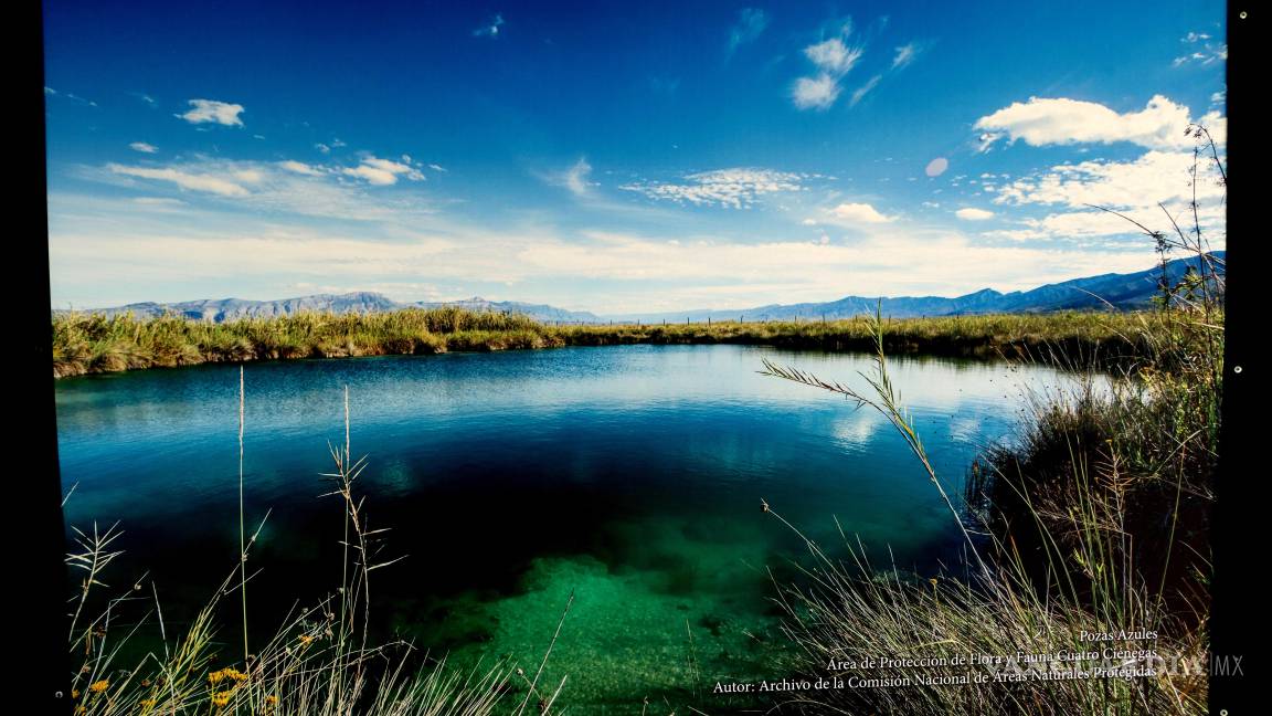 ¿Crees que algún sitio de Coahuila debe figurar entre las 7 Maravillas Naturales de América? Nomina tu favorito