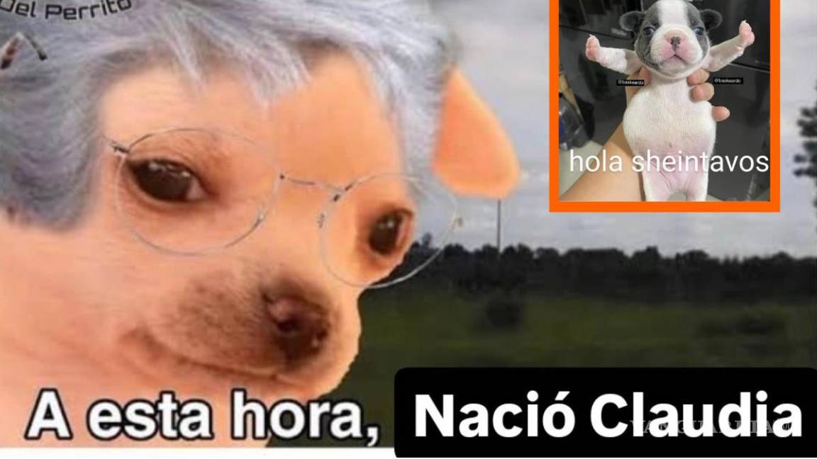 Adiós ‘Pejecoins’, hola ‘Sheintavos’: Los mejores memes de la toma de protesta de Claudia Sheinbaum como Presidenta