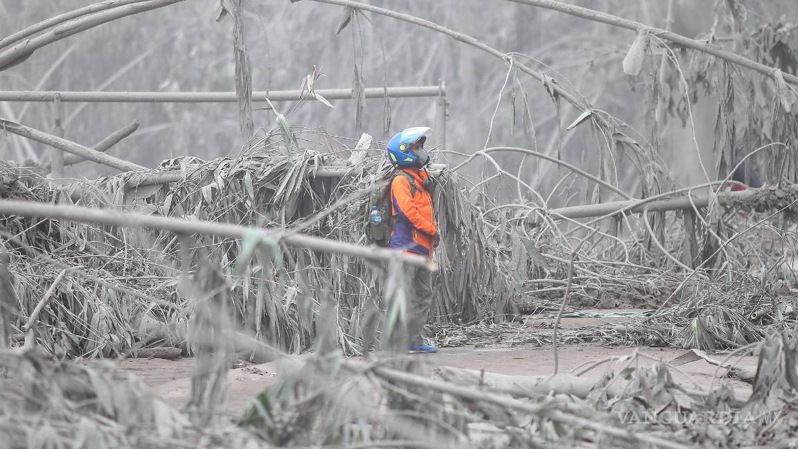 $!Un agente de la autoridad observa un área cubierta de ceniza procedente de la erupción del volcán Semeru. EFE/EPA/AMMAR