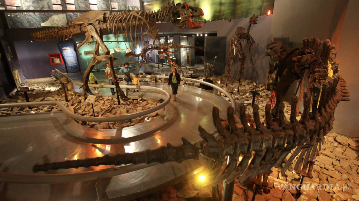 $!El Museo del Desierto también es arte.