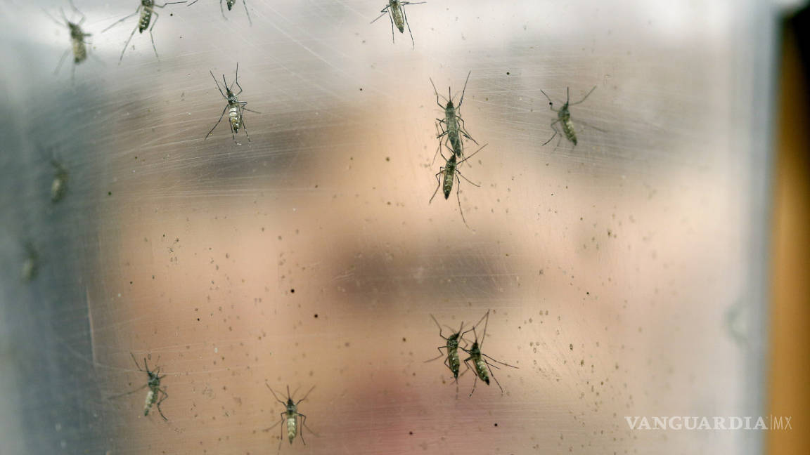 Estados Unidos emite alertas de viaje por propagación del zika