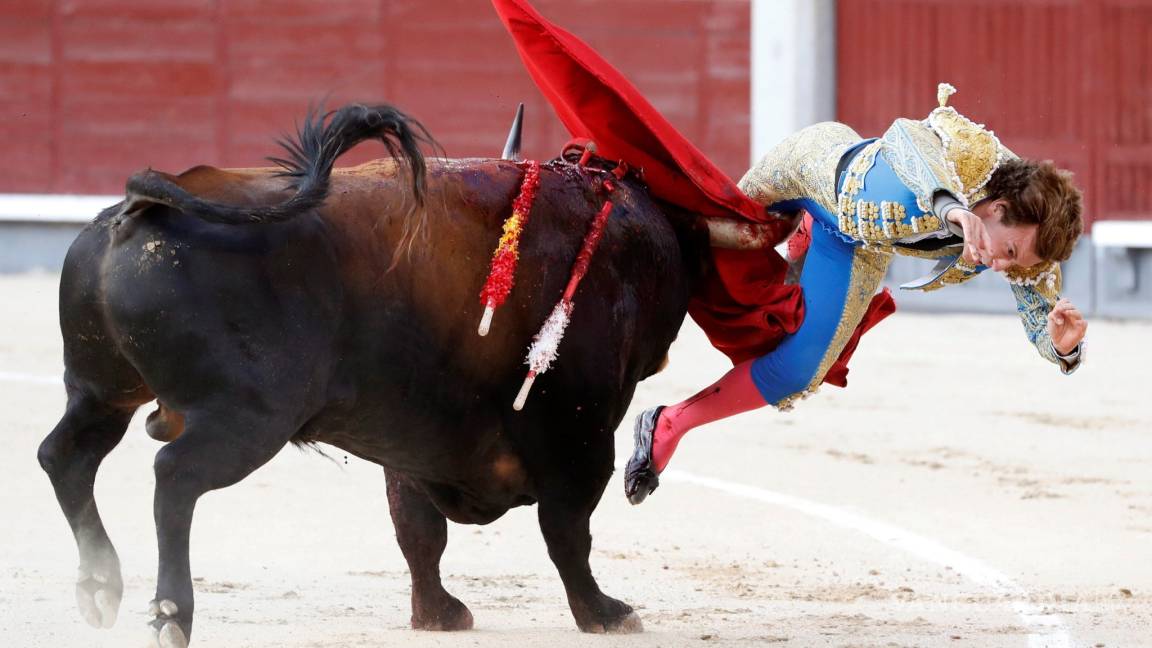 &quot;Pensaba que me moría”, dice el torero español Román Collado