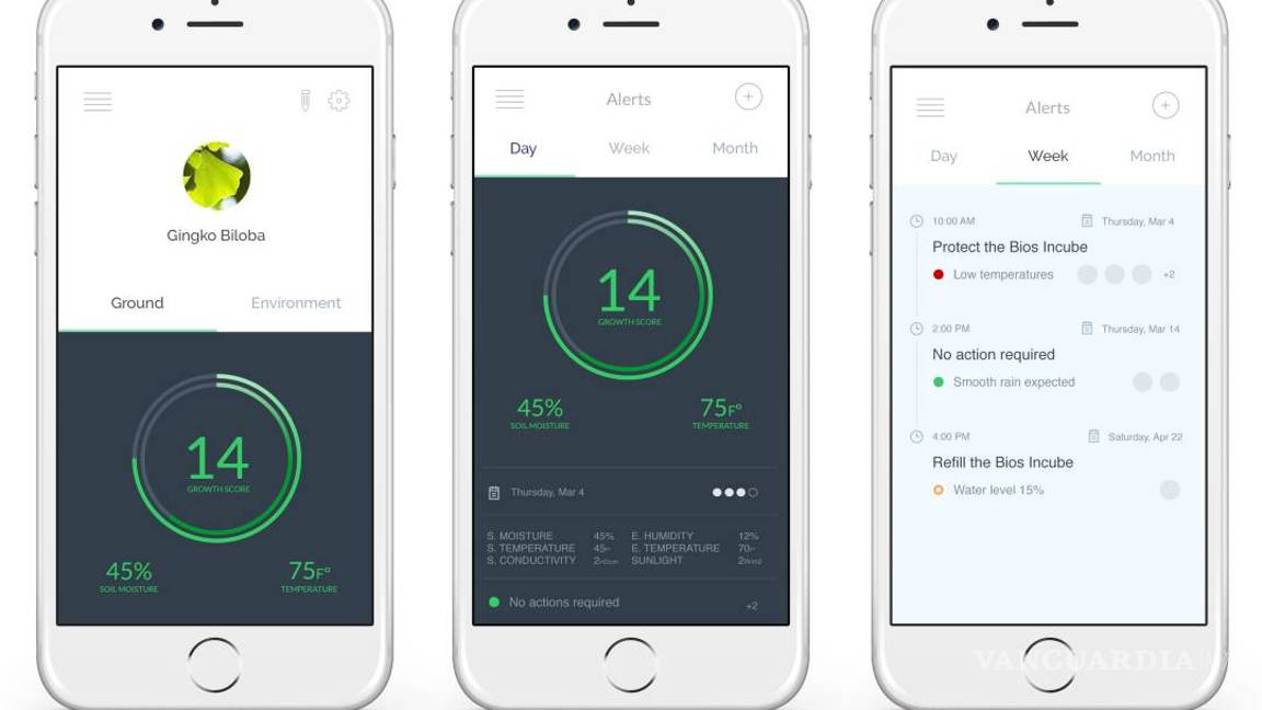 $!Bios Incube, cenizas que dan vida