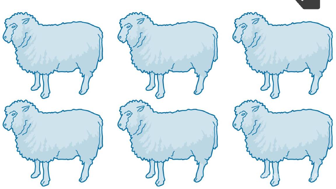 $!Se cumplen 20 años de la oveja Dolly: ¿por qué los clones mueren jóvenes?