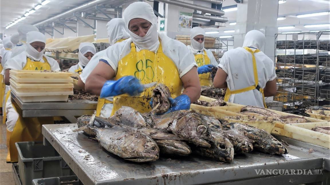 $!¿Sabias que las partes más nutritivas del pescado terminan en la basura?