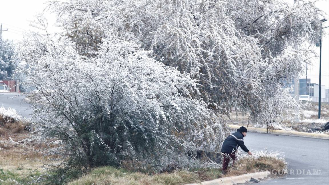 Tormenta invernal congela Saltillo; registran más de 20 accidentes viales