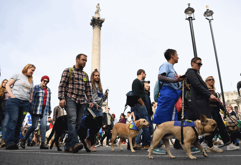 $!Cientos de perros ladran contra el "Brexit" en Londres