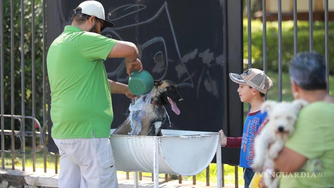 $!La Dirección de Salud Pública ofreció detecciones médicas, orientación nutricional y vacunación para mascotas, sin costo alguno.