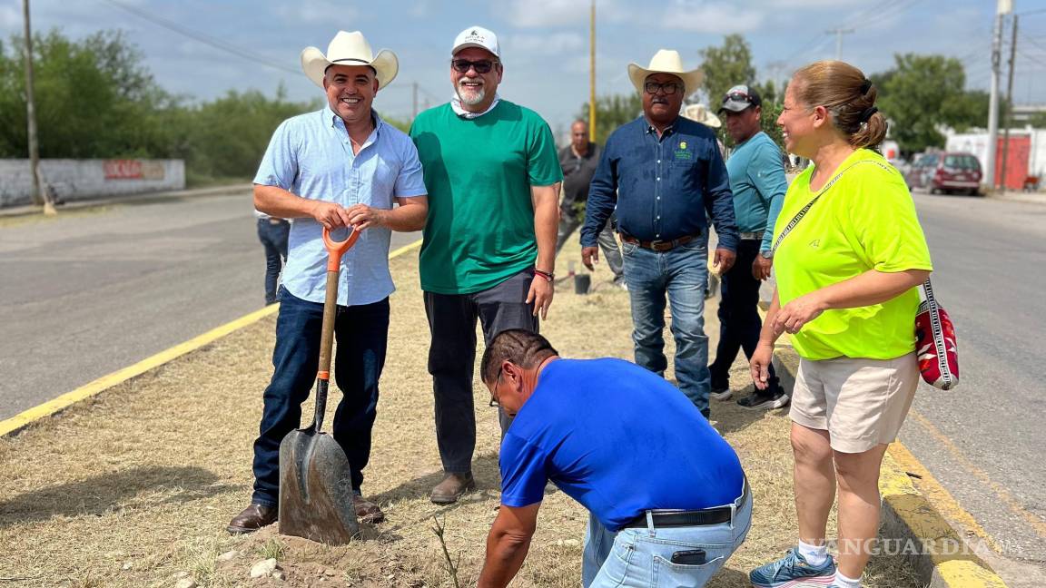 Arranca campaña de reforestación en plazas, parques y bulevares de Sabinas