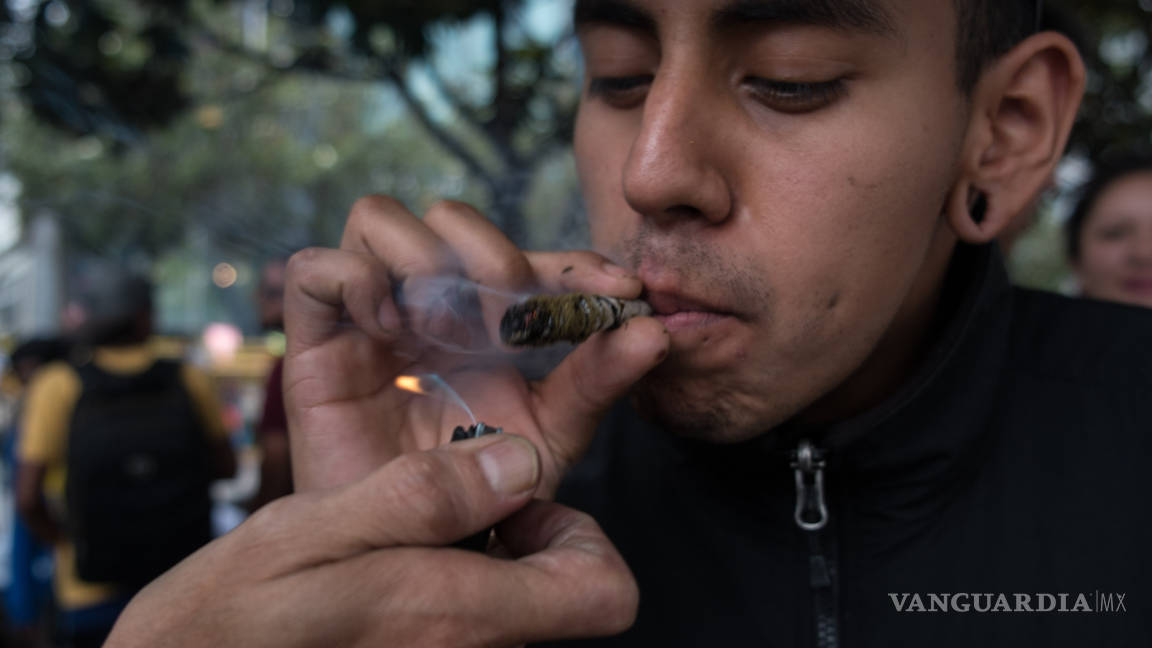 Uso lúdico del cannabis en México contraviene los tratados contra los narcóticos