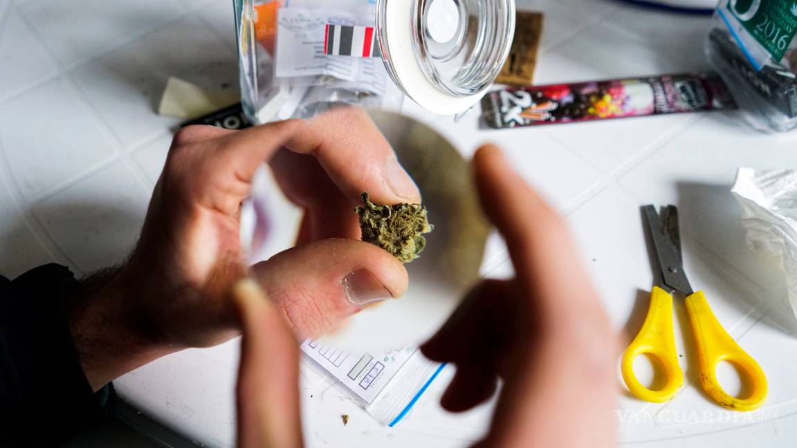 $!Concurso en Uruguay elige las mejores muestras de mariguana