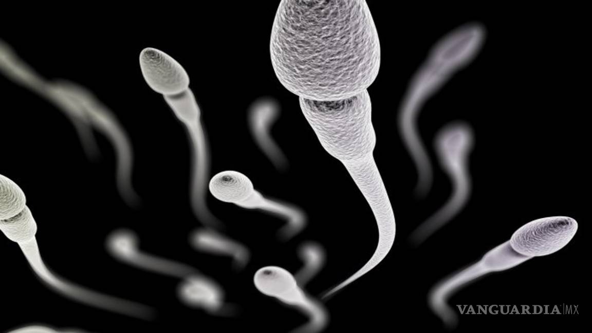 $!Calidad del semen indica estado de salud masculina