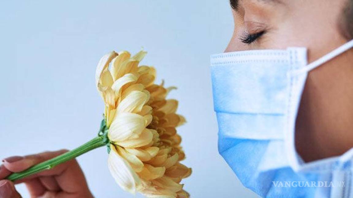 Millones de personas en EU carecen del sentido del olfato o del gusto, años después de la infección por COVID-19