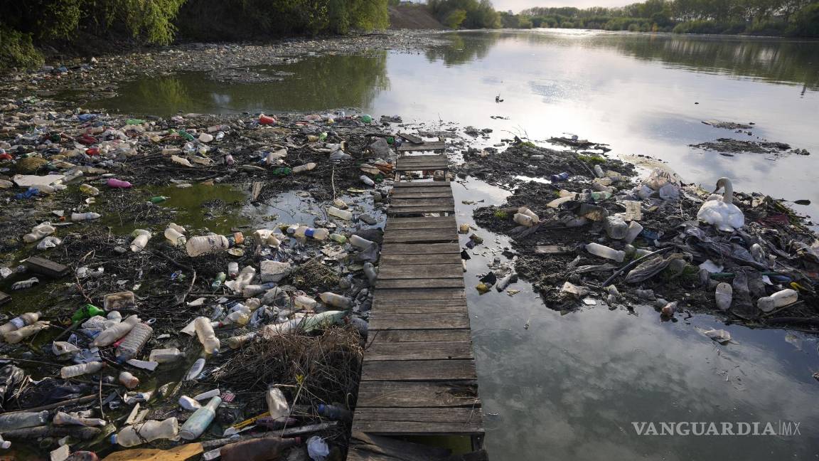 $!La basura ha inundado una parte considerable de los mares y océanos.