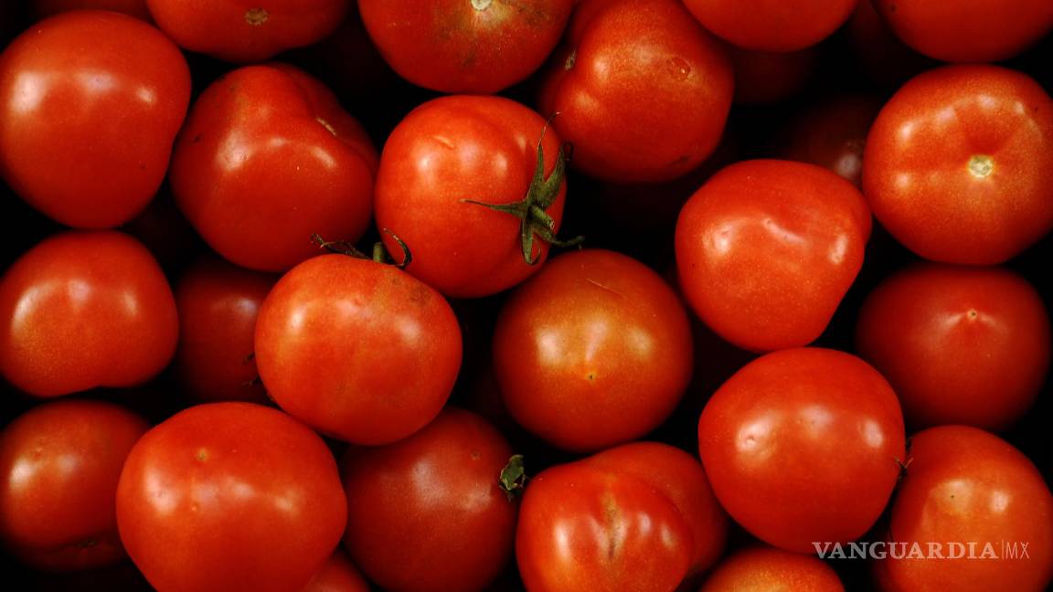 $!“Es necesario un buen consumo de vitamina A para no tener problemas de visión. EFE/Paco Torrente