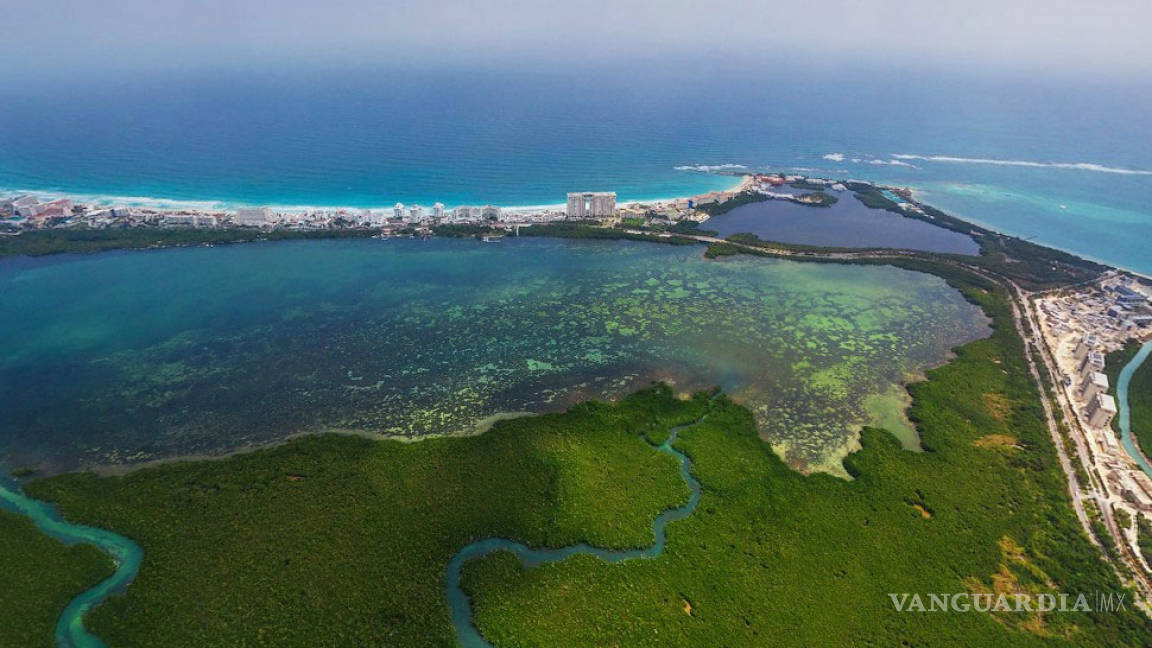 Punta Nizuc, otro manglar de Quintana Roo en peligro