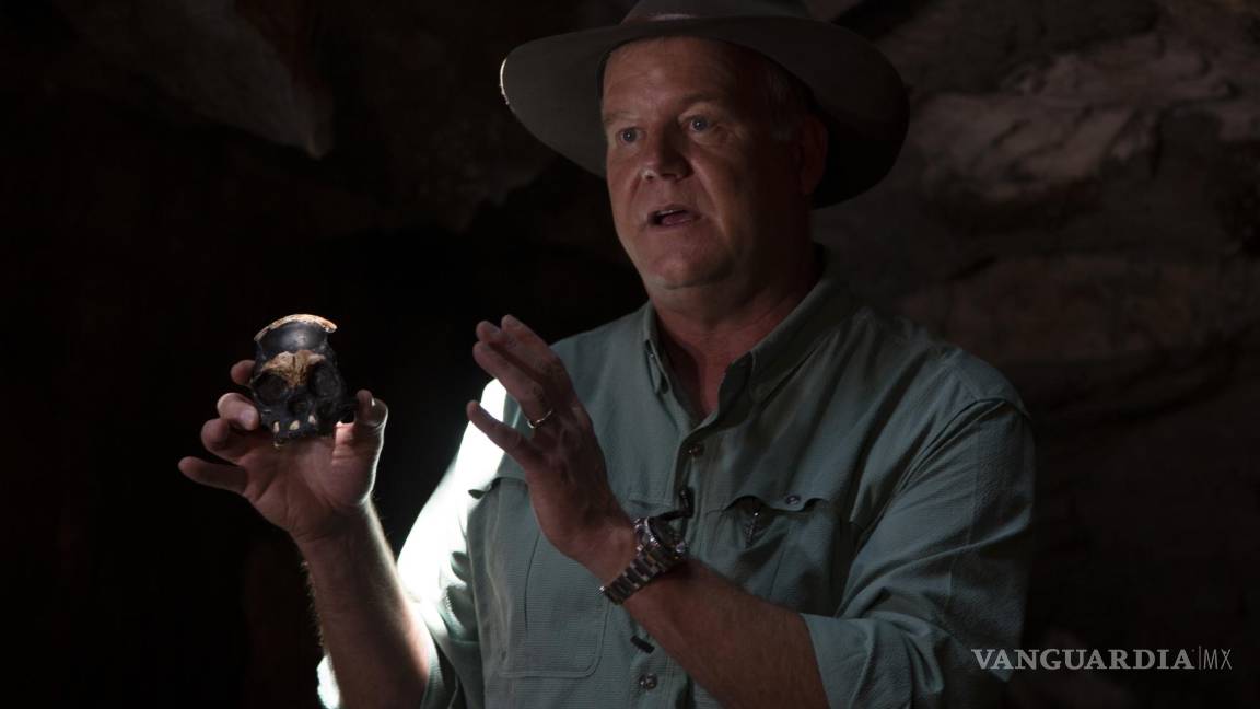 Científicos descubren un fósil de un niño homínido en Sudáfrica