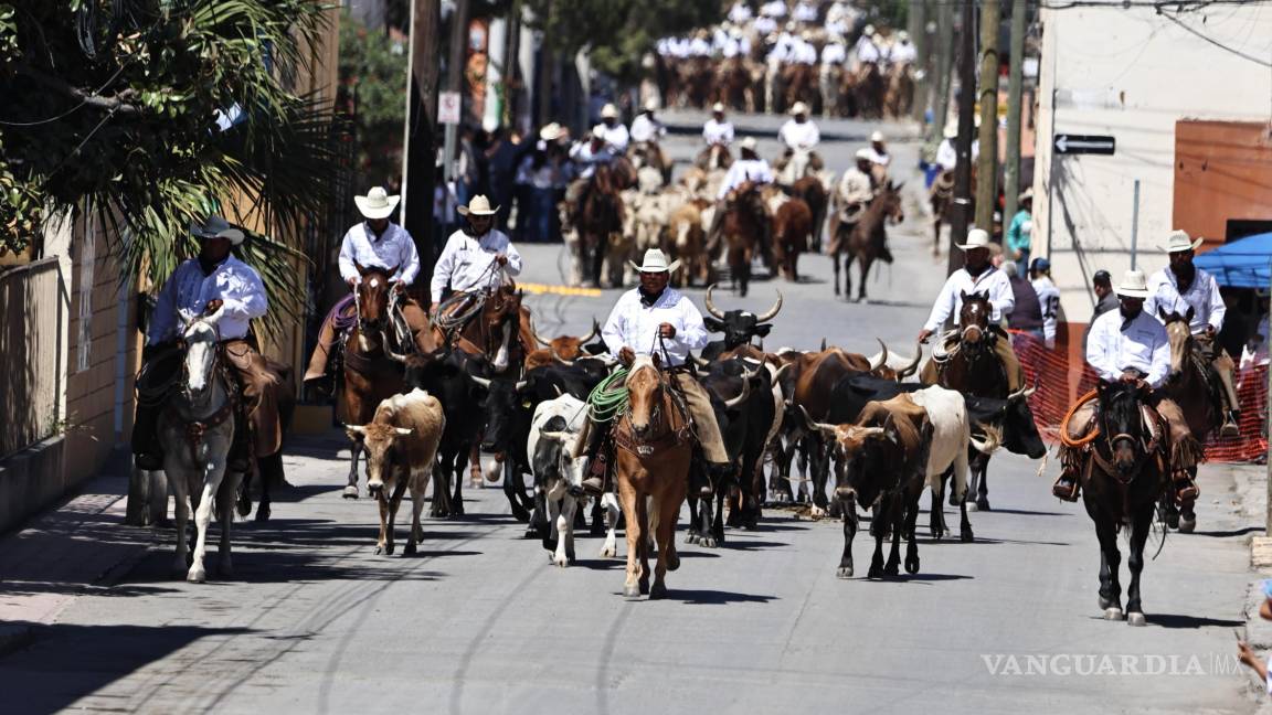 $!Más de 600 cabezas de ganado fueron arreadas por las calles del Pueblo Mágico, guiadas por cerca de 70 vaqueros de ranchos de la región e incluso del King Ranch, en Texas.