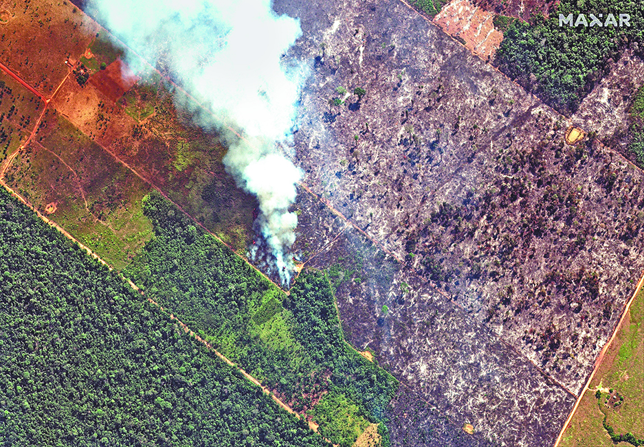 $!Exige el mundo salvar el Amazonia