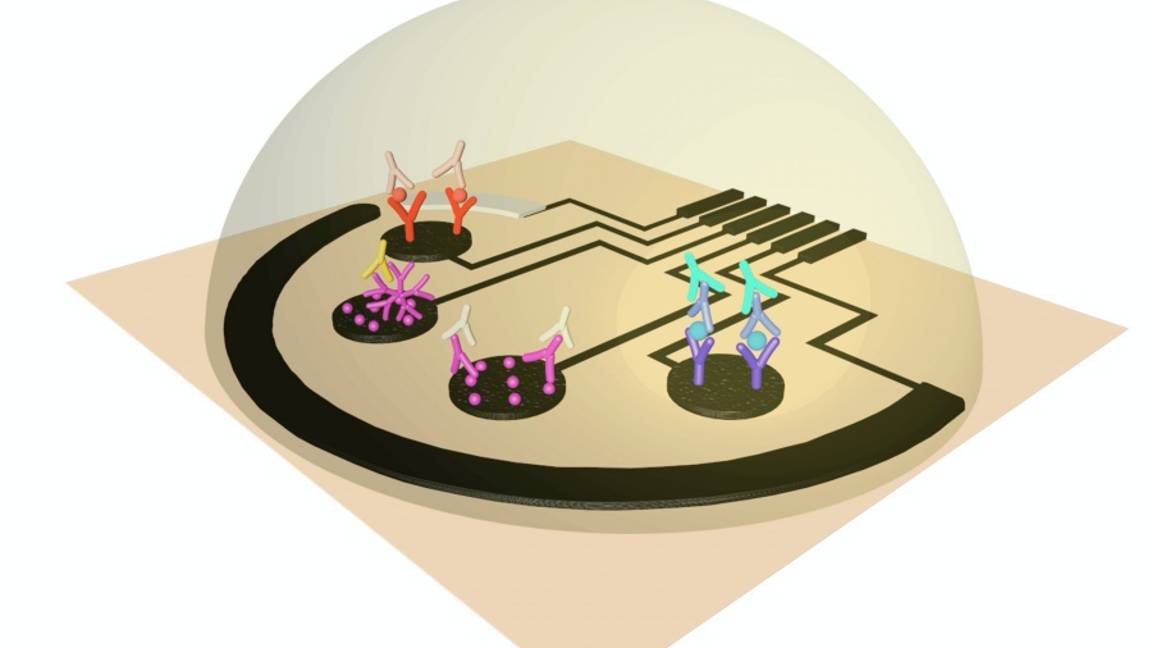 $!RapidPlex, el detector que te dice si estás enfermo de COVID-19 en menos de 10 minutos