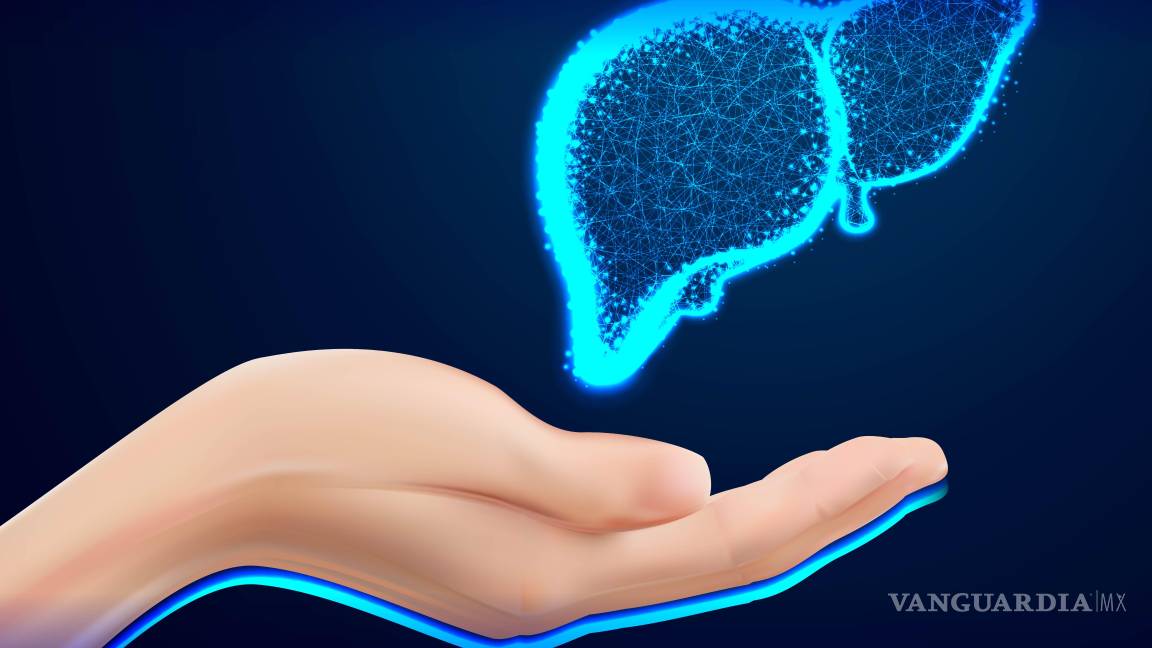 $!El equipo identificó varios genes y factores de transcripción involucrados en esta reprogramación celular.