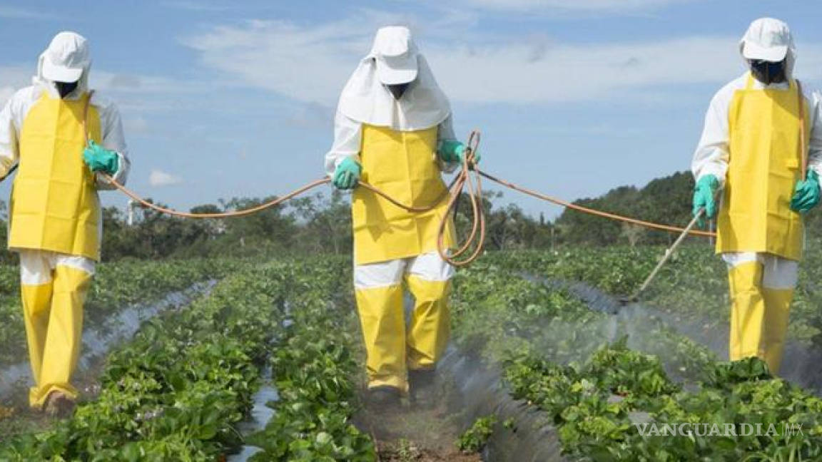 Surgen protestas en México por permitir a Monsanto uso de herbicida peligroso